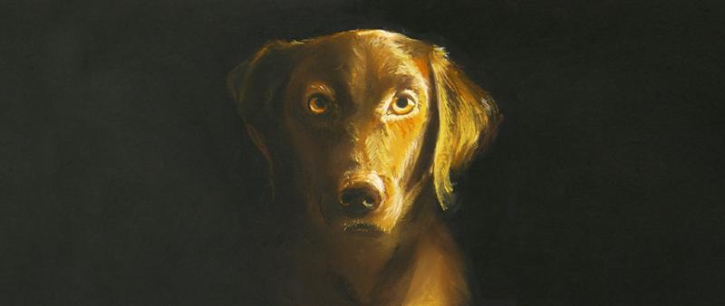 Tierportraits in Pastell