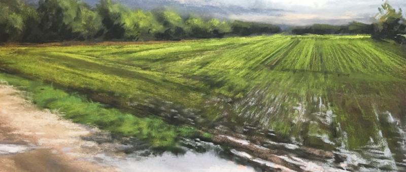 Von Regenfront bis Sommergewitter - Wetter in Pastell