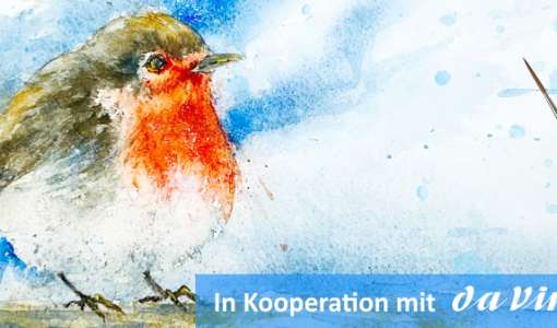 After Work: Alle Vögel sind schon da – das Rotkehlchen