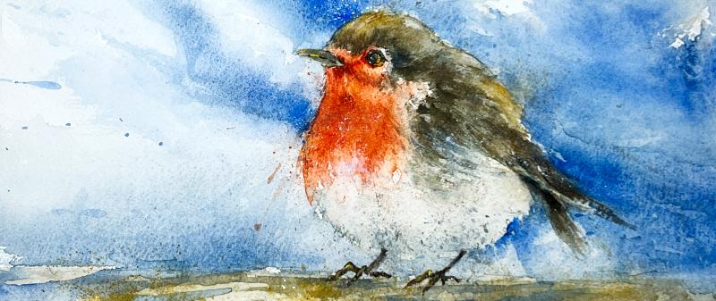 After Work: Alle Vögel sind schon da – das Rotkehlchen