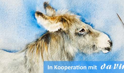 After Work: Auf dem Bauernhof - Der Esel